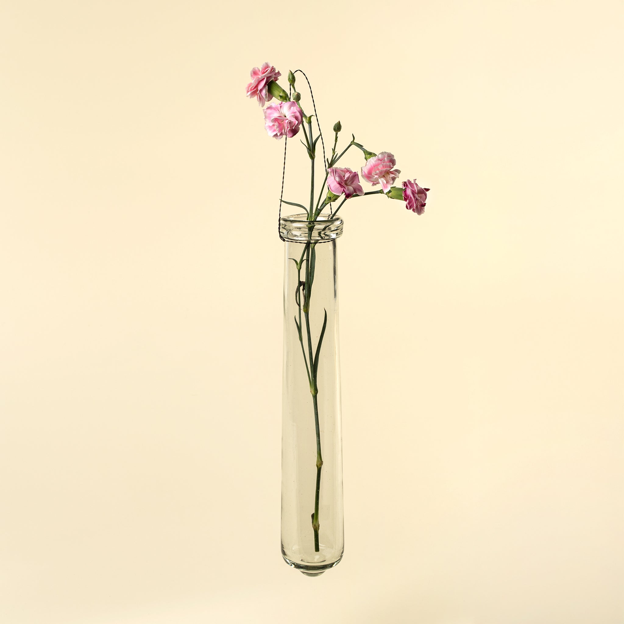 Hanging Tube Vase L