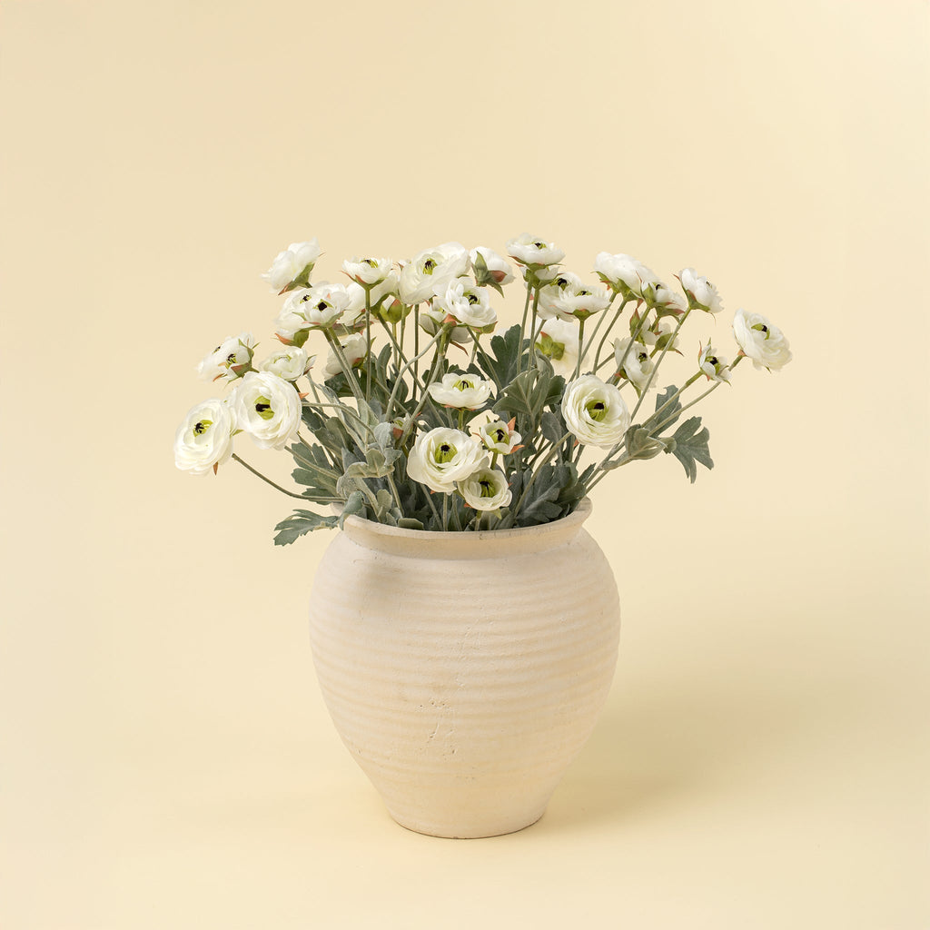 Ranunculus Spray, White