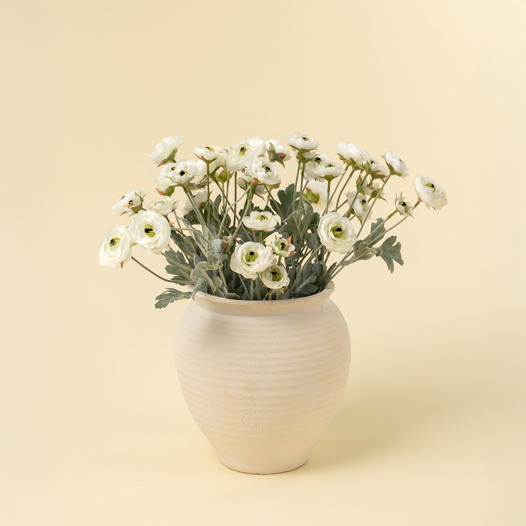 Ranunculus Spray, White