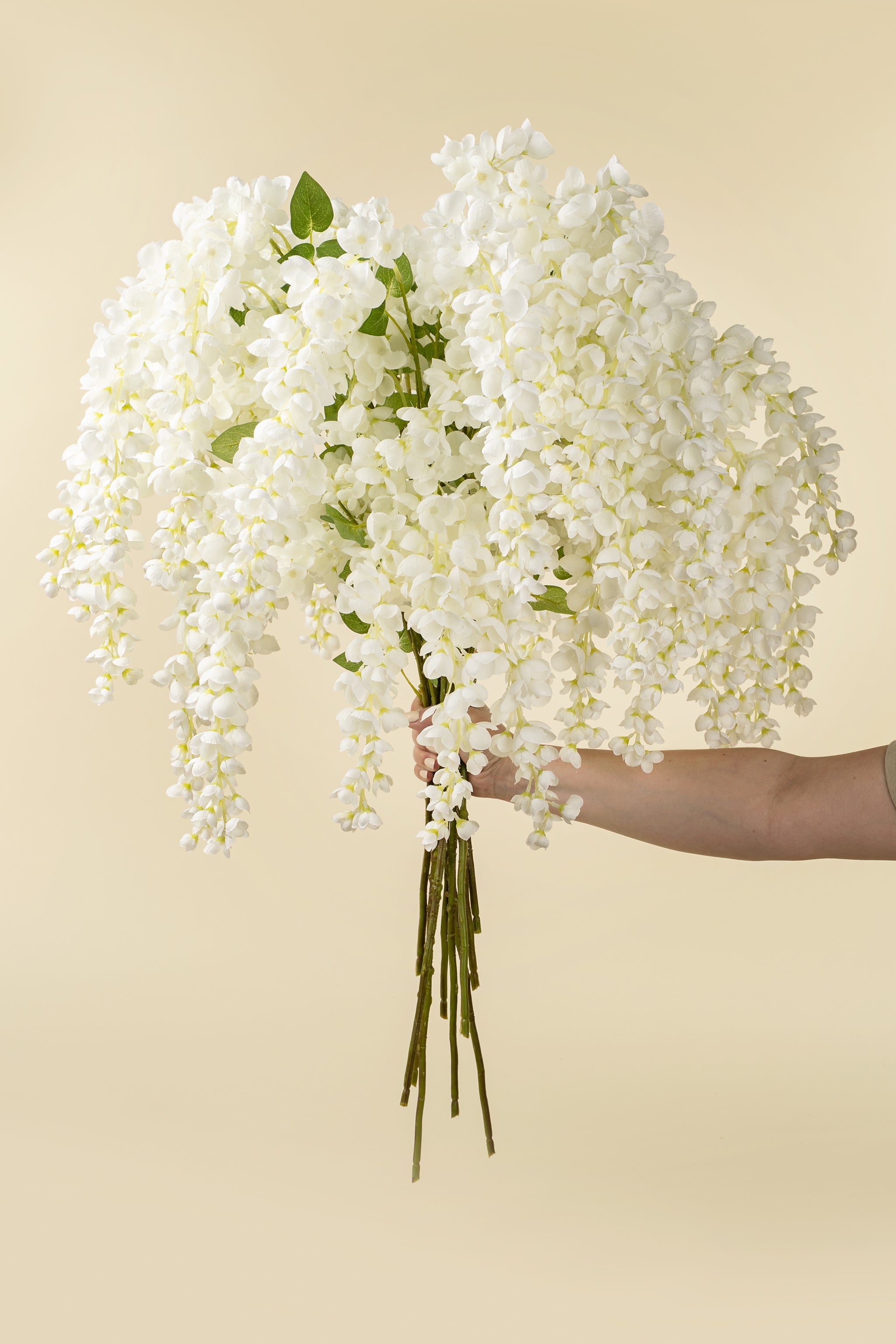 White Wisteria Cascade