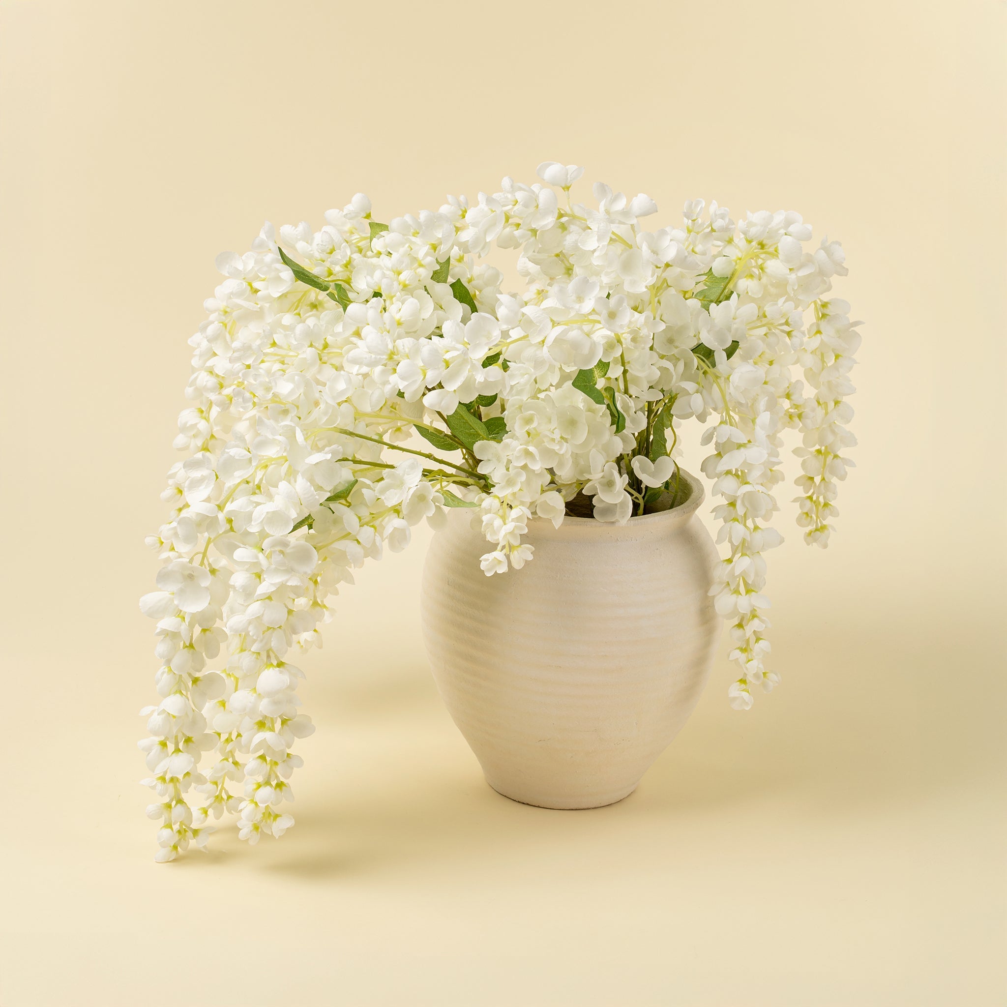 White Wisteria Cascade