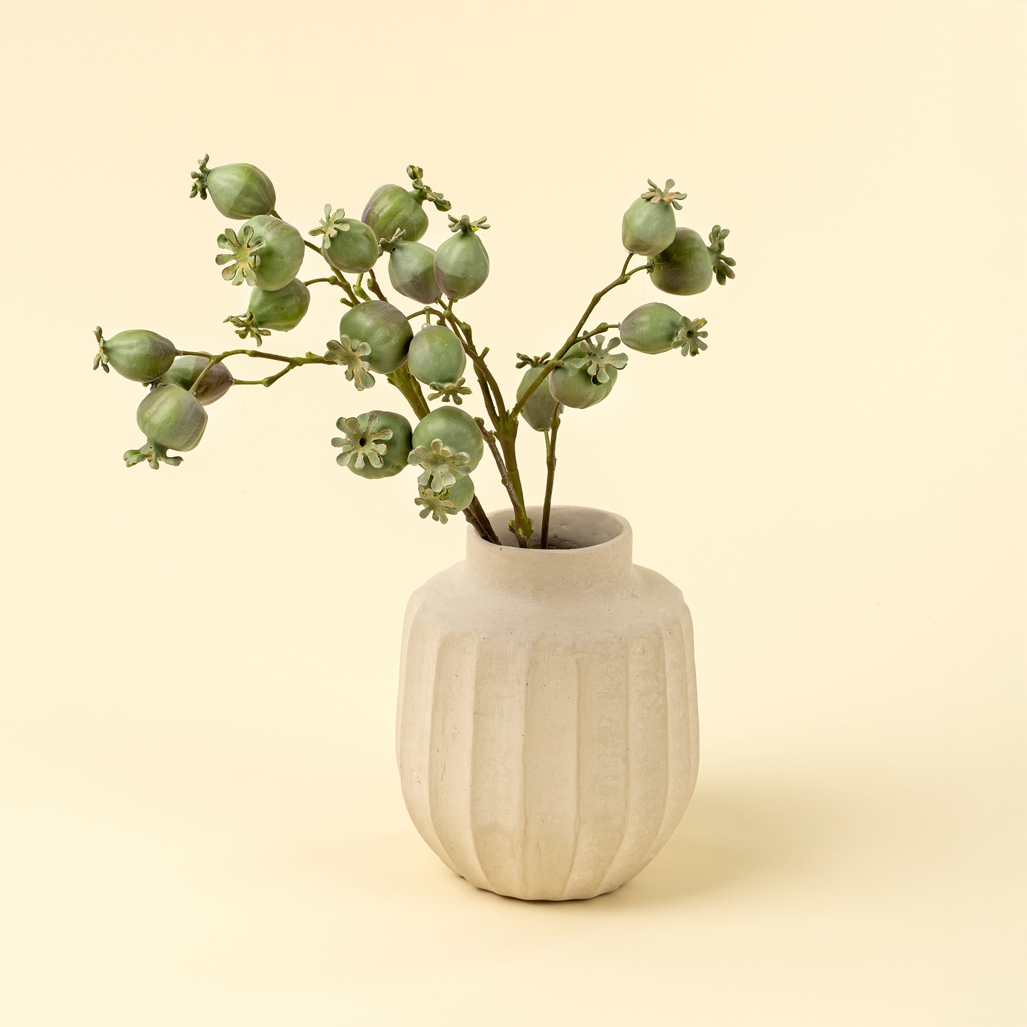 Poppy Pod Branch