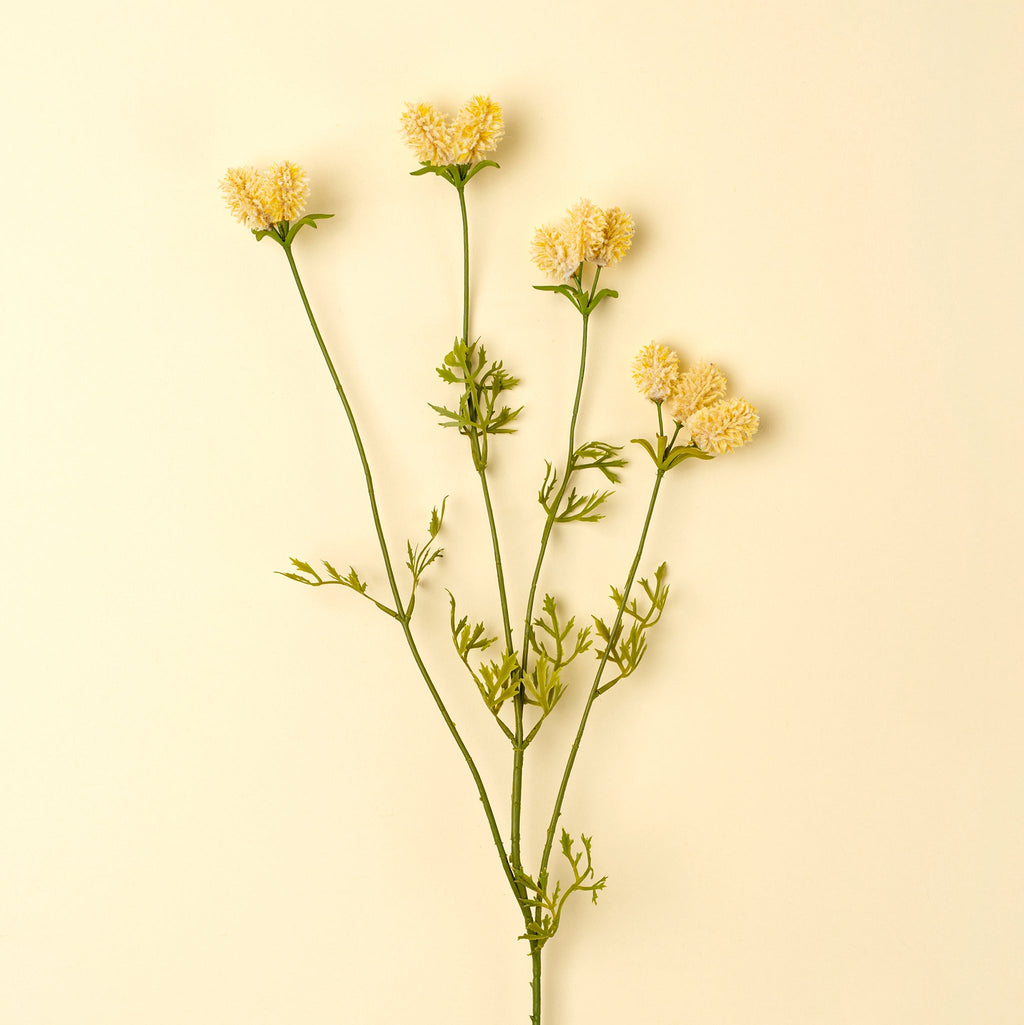 Dandelion Pom Pom Spray, Cream
