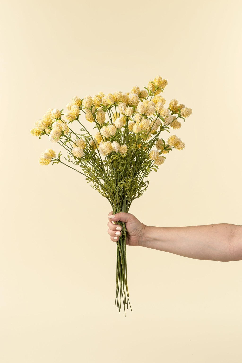 Dandelion Pom Pom Spray, Cream