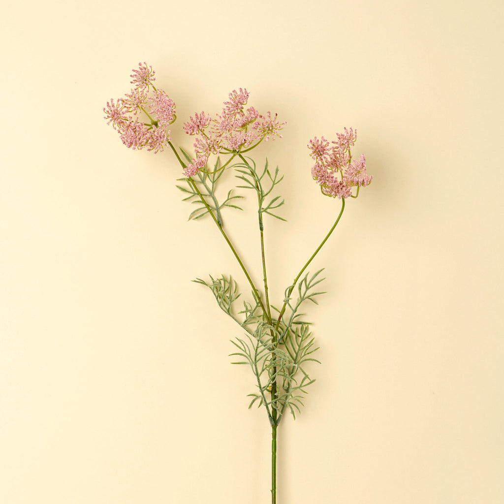 Queen Anne's Lace Spray, Pink