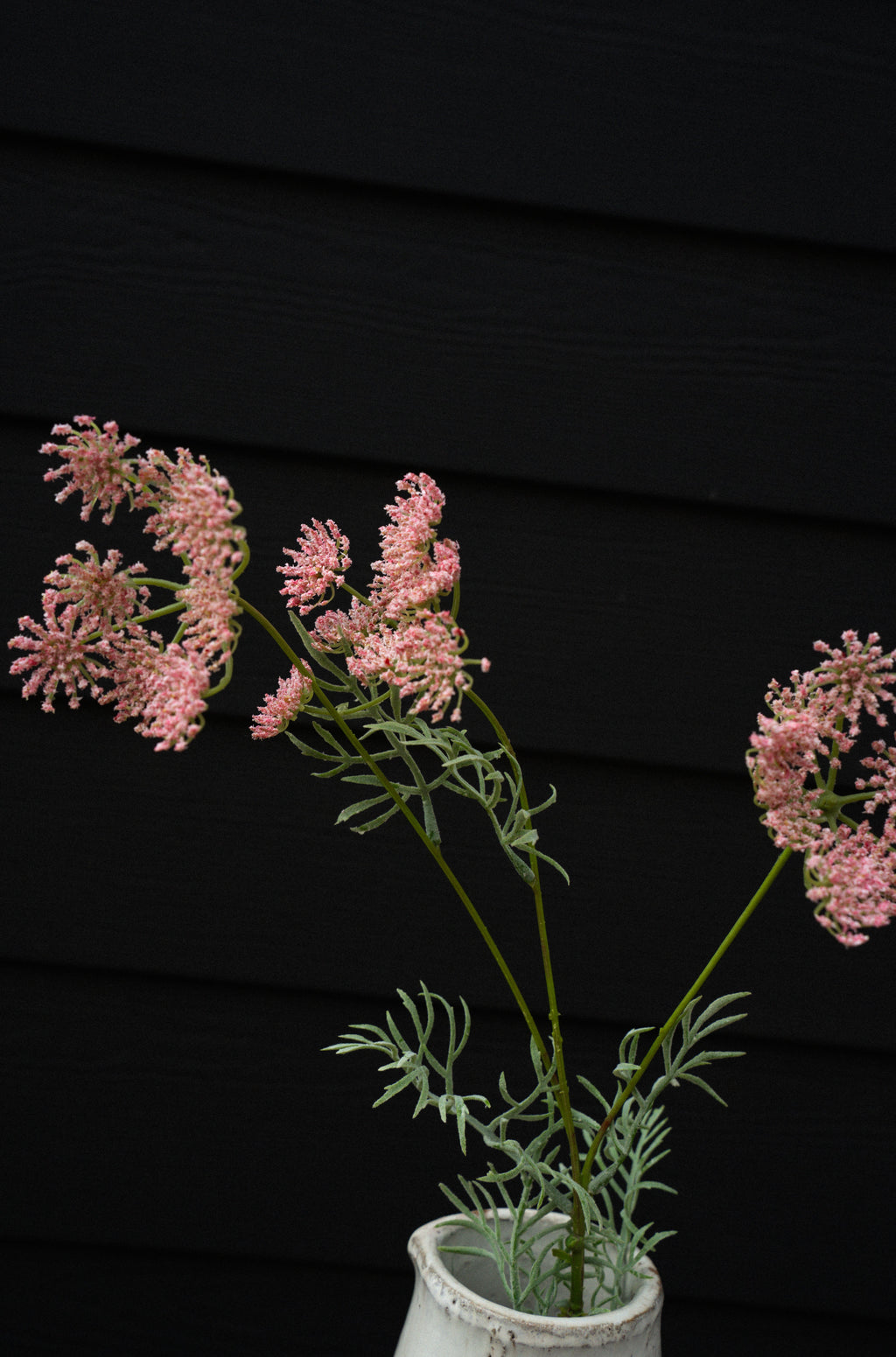 Queen Anne's Lace Spray, Pink
