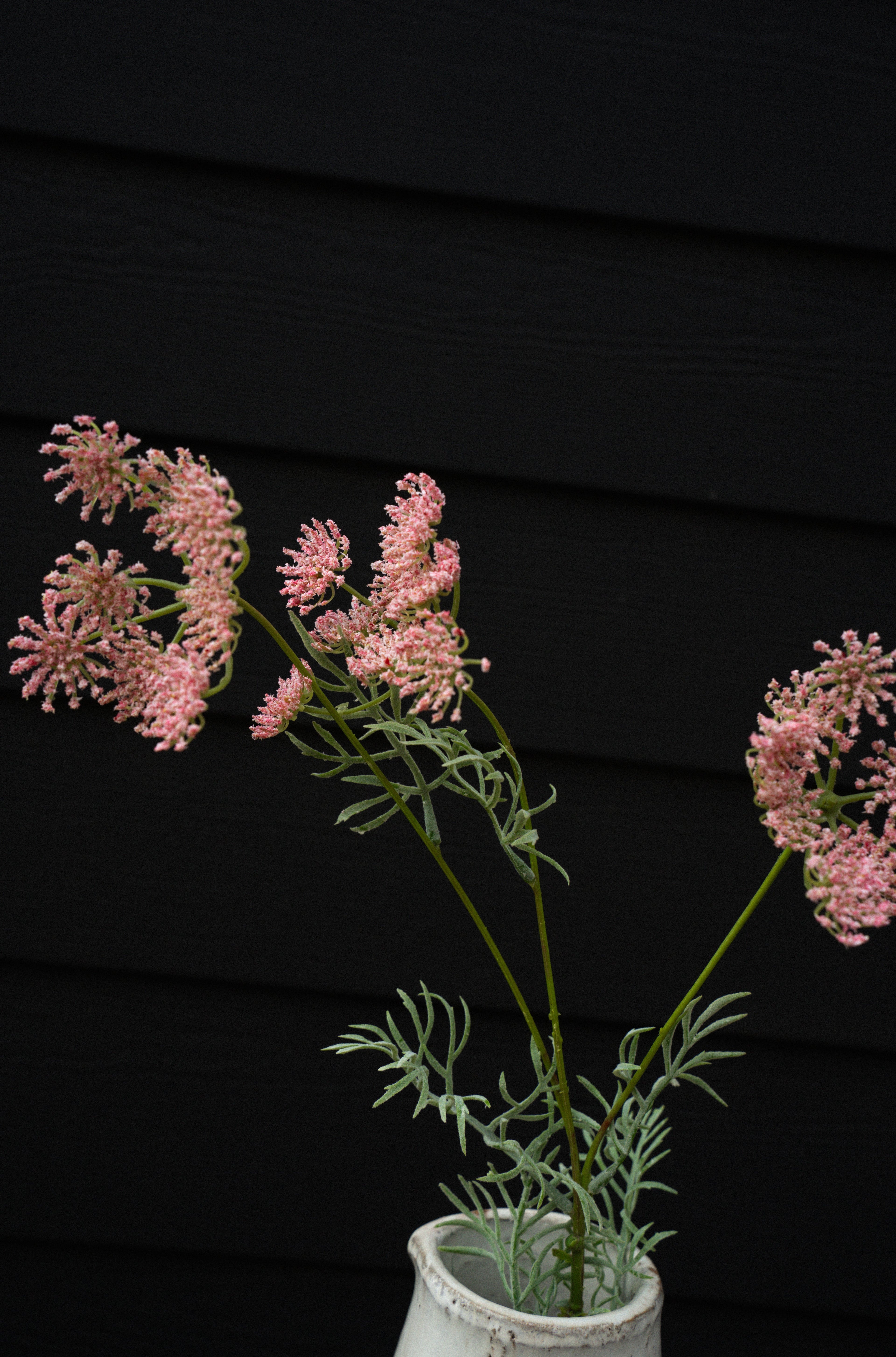 Queen Anne's Lace Spray, Pink