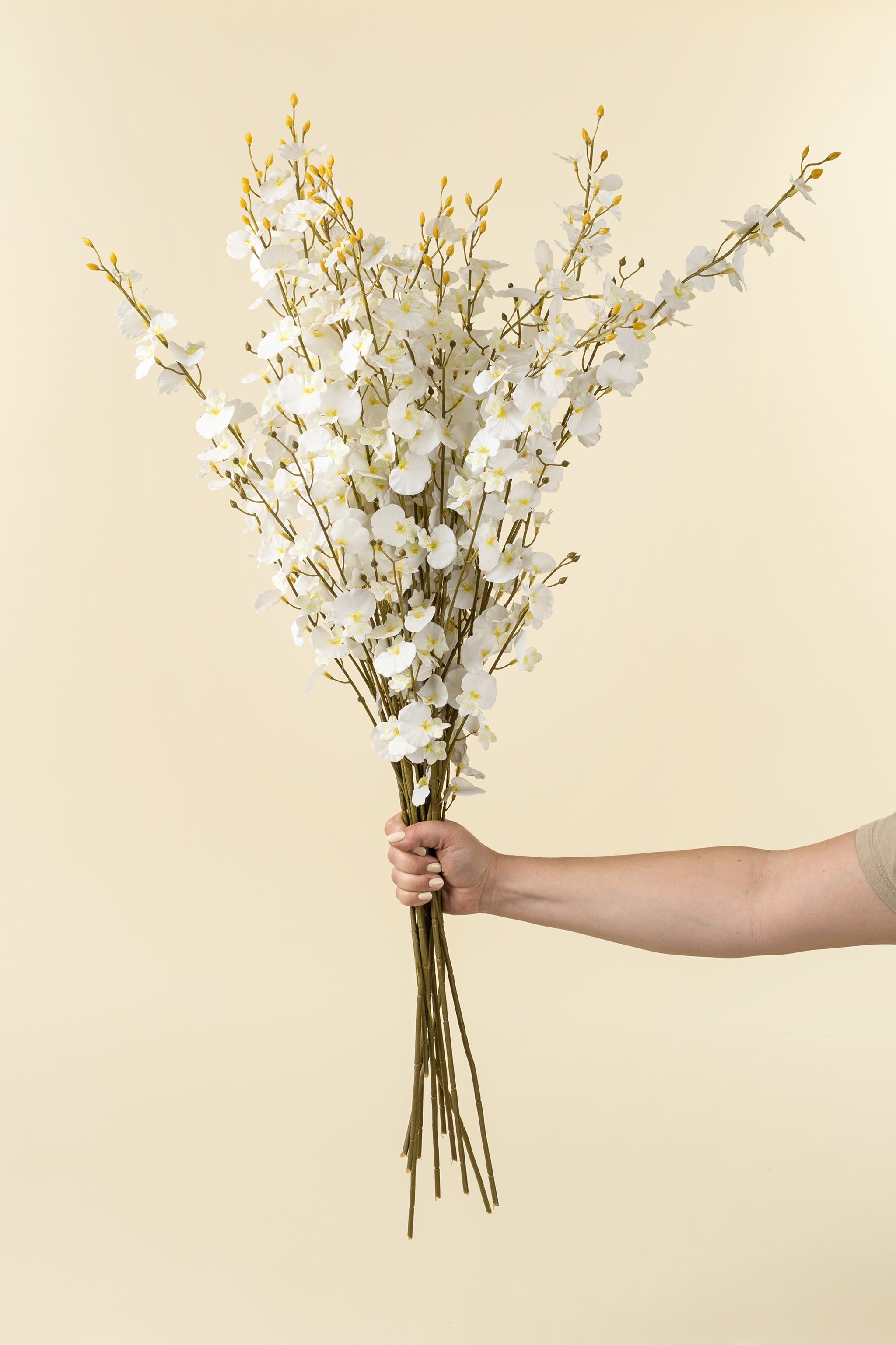 White Orchid Spray