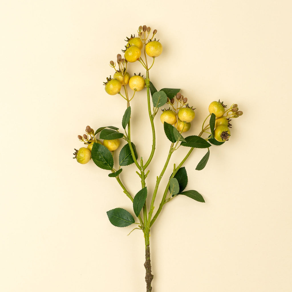 Rosehip Branch