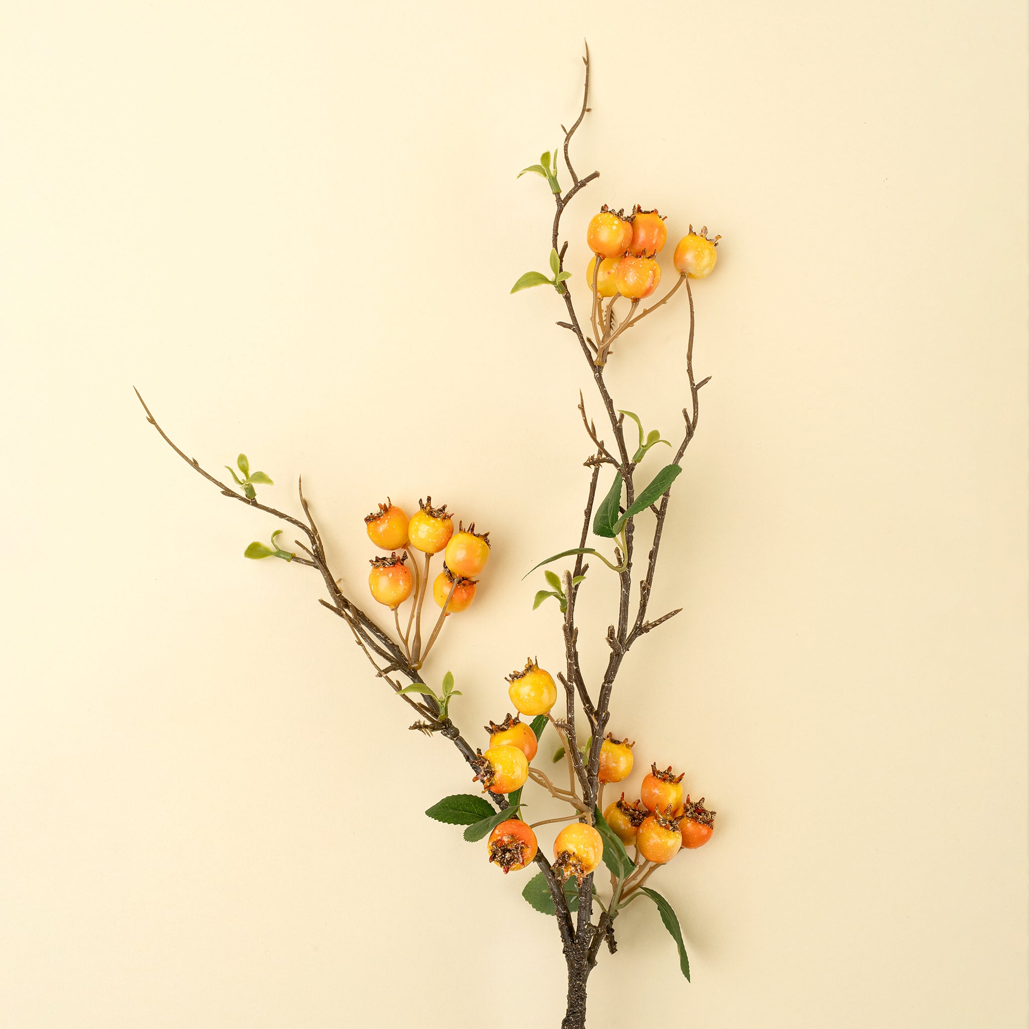 Rosehip Branch, Orange