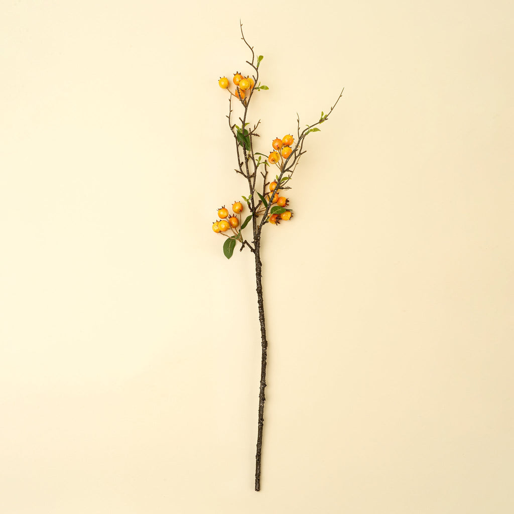 Rosehip Branch, Orange
