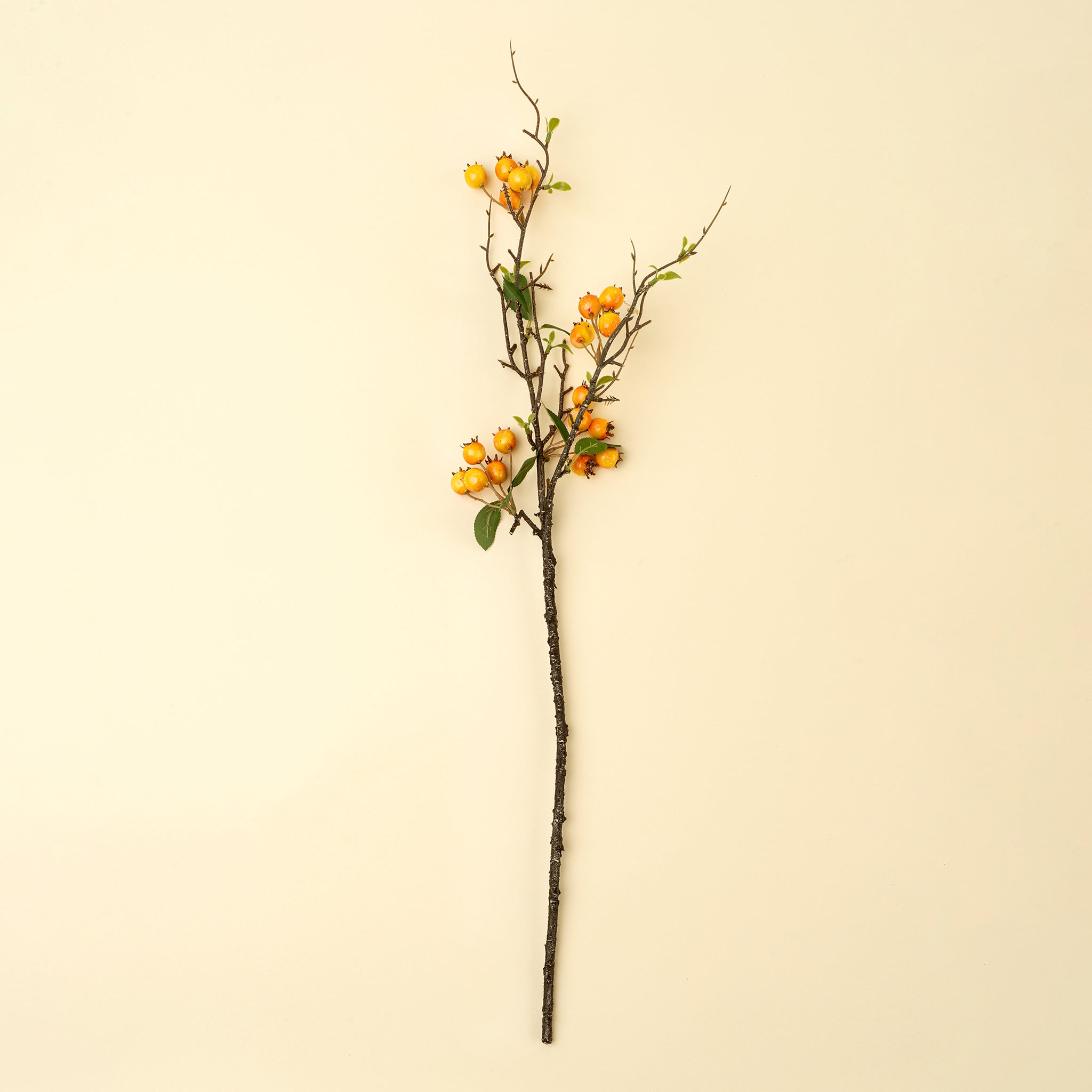 Rosehip Branch, Orange