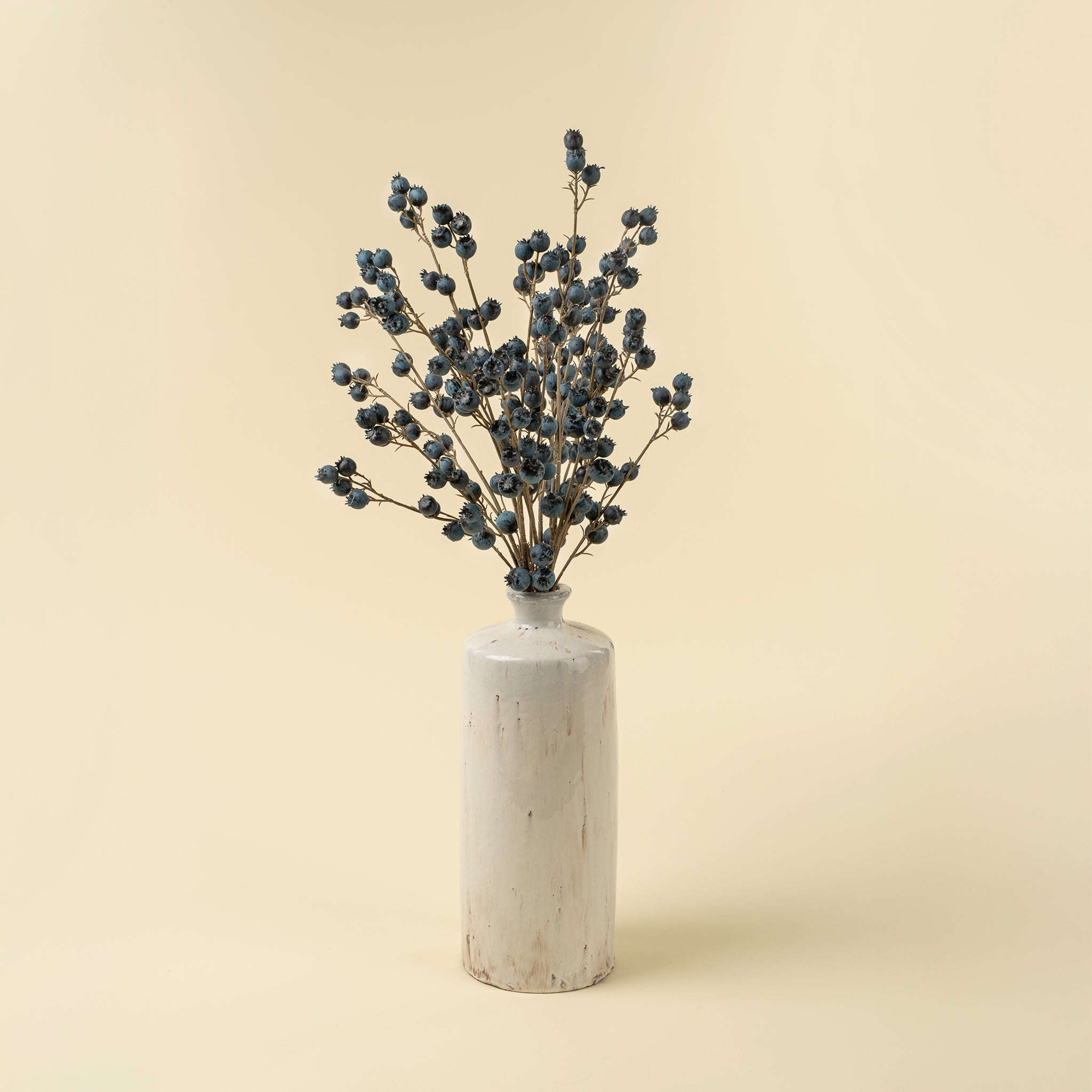 Blueberry Branch