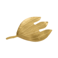Monstera Leaf Brass Trinket Dish