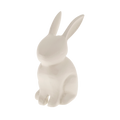 Bunny Rabbit, Ivory