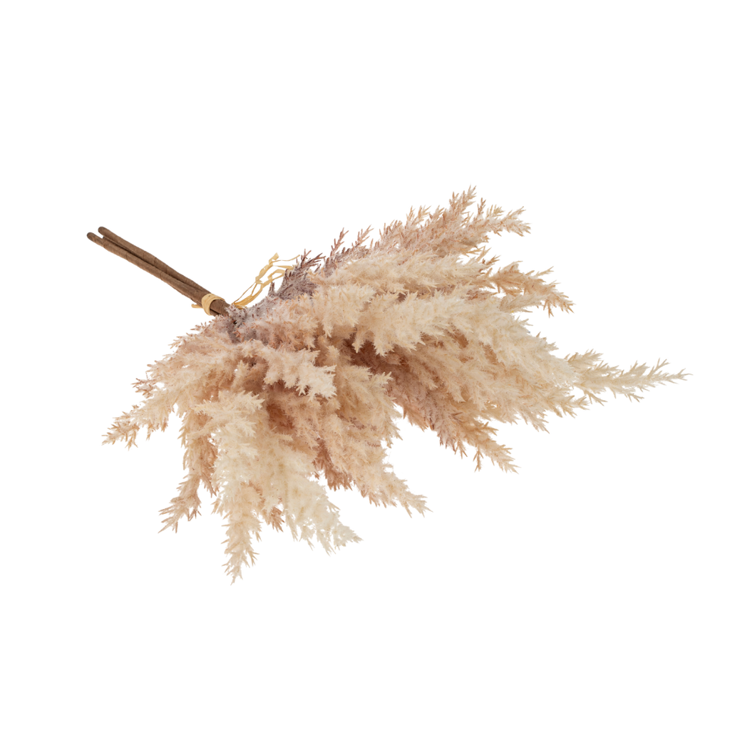 Pampas Grass Bundle, Blush