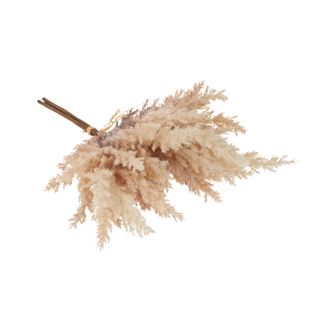 Pampas Grass Bundle, Blush