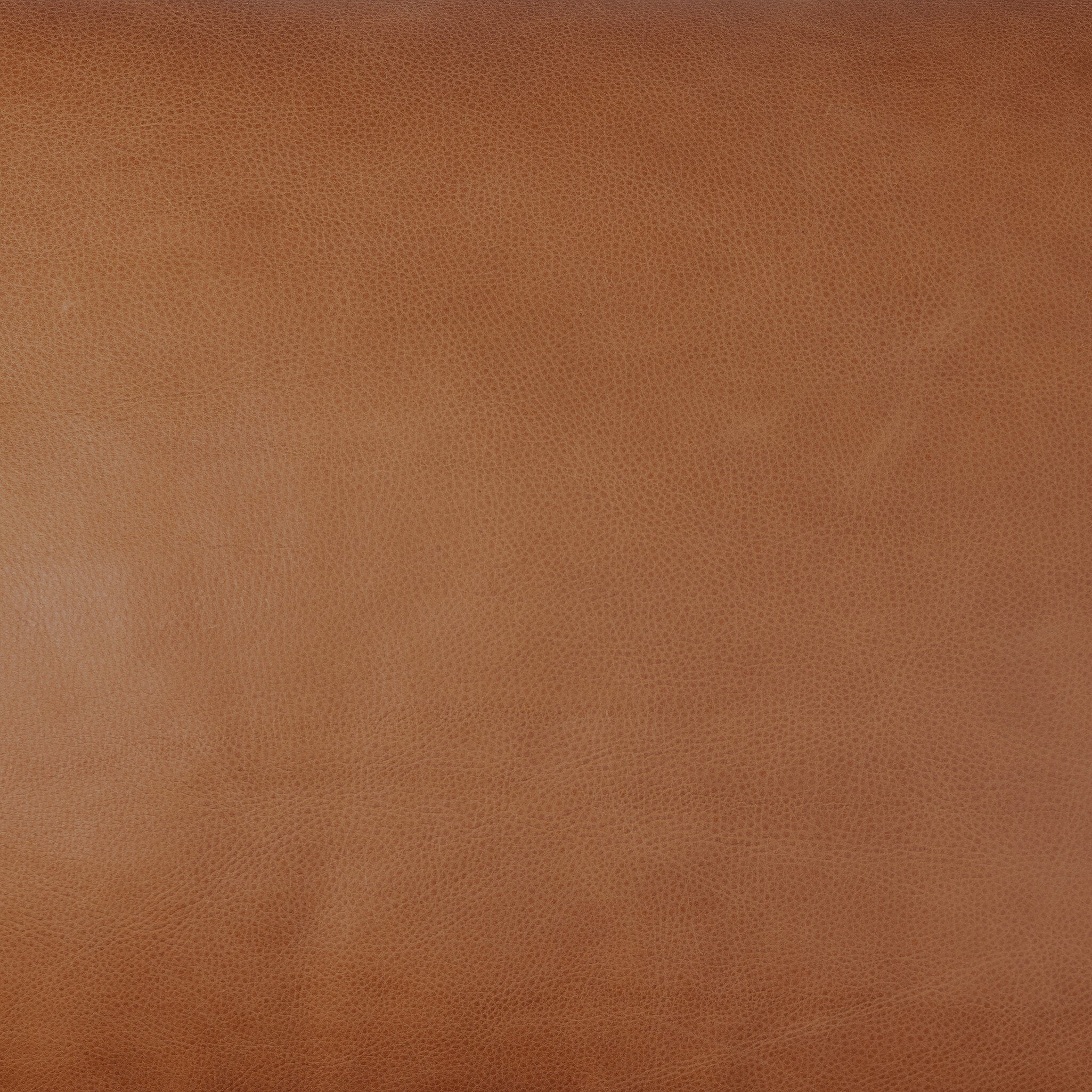 Reese Sofa - Palermo Cognac