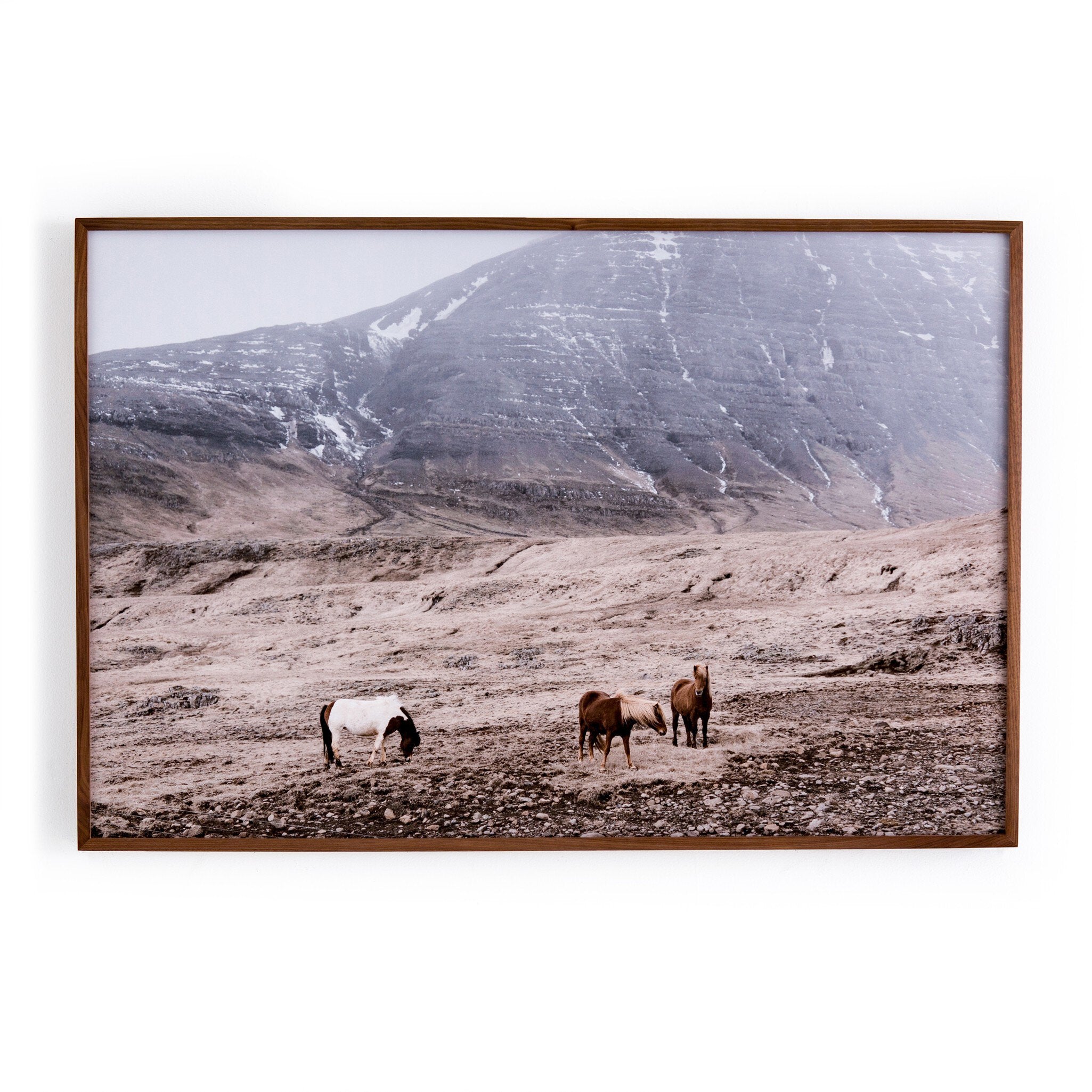 Wild Horses - Walnut 2.5