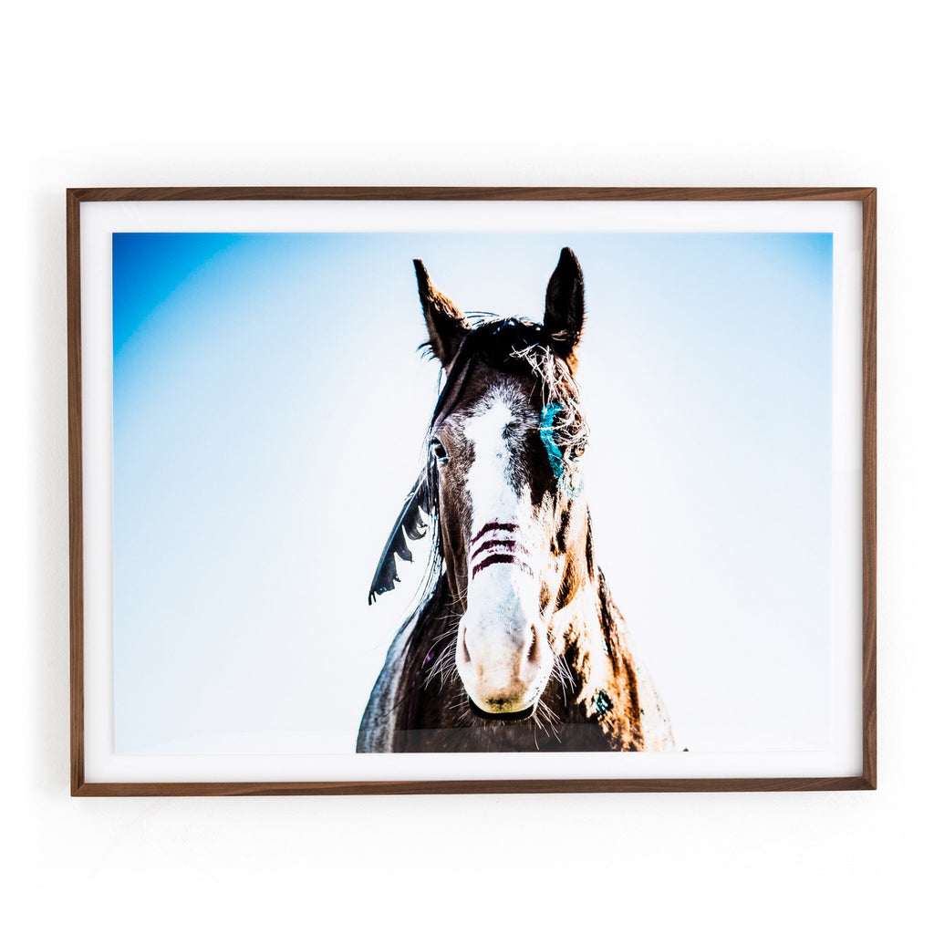 War Horse - Walnut 2.5