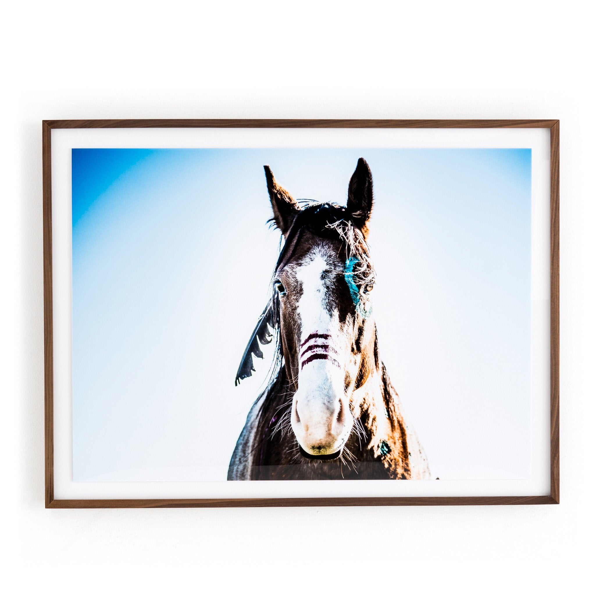 War Horse - Walnut 2.5