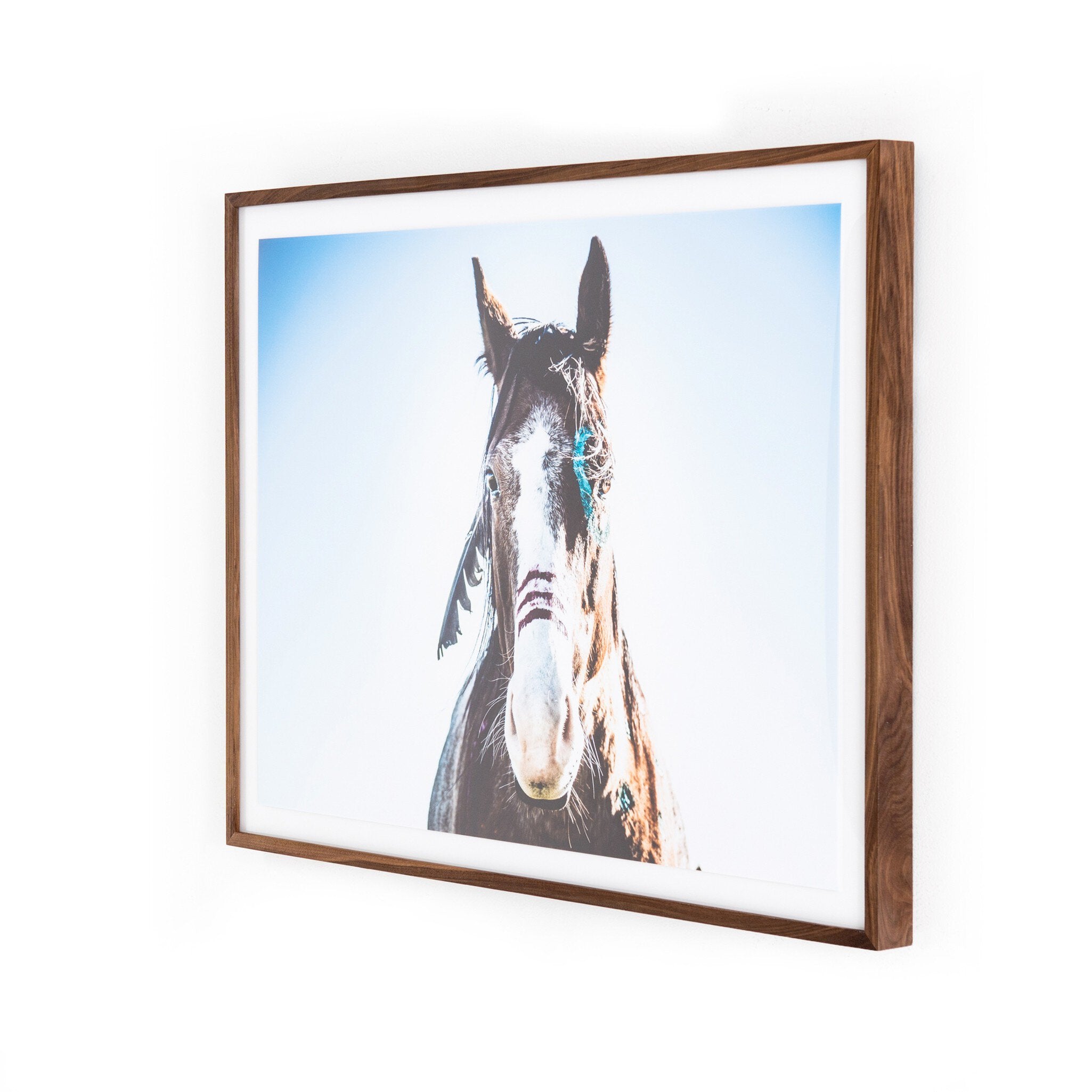War Horse - Walnut 2.5