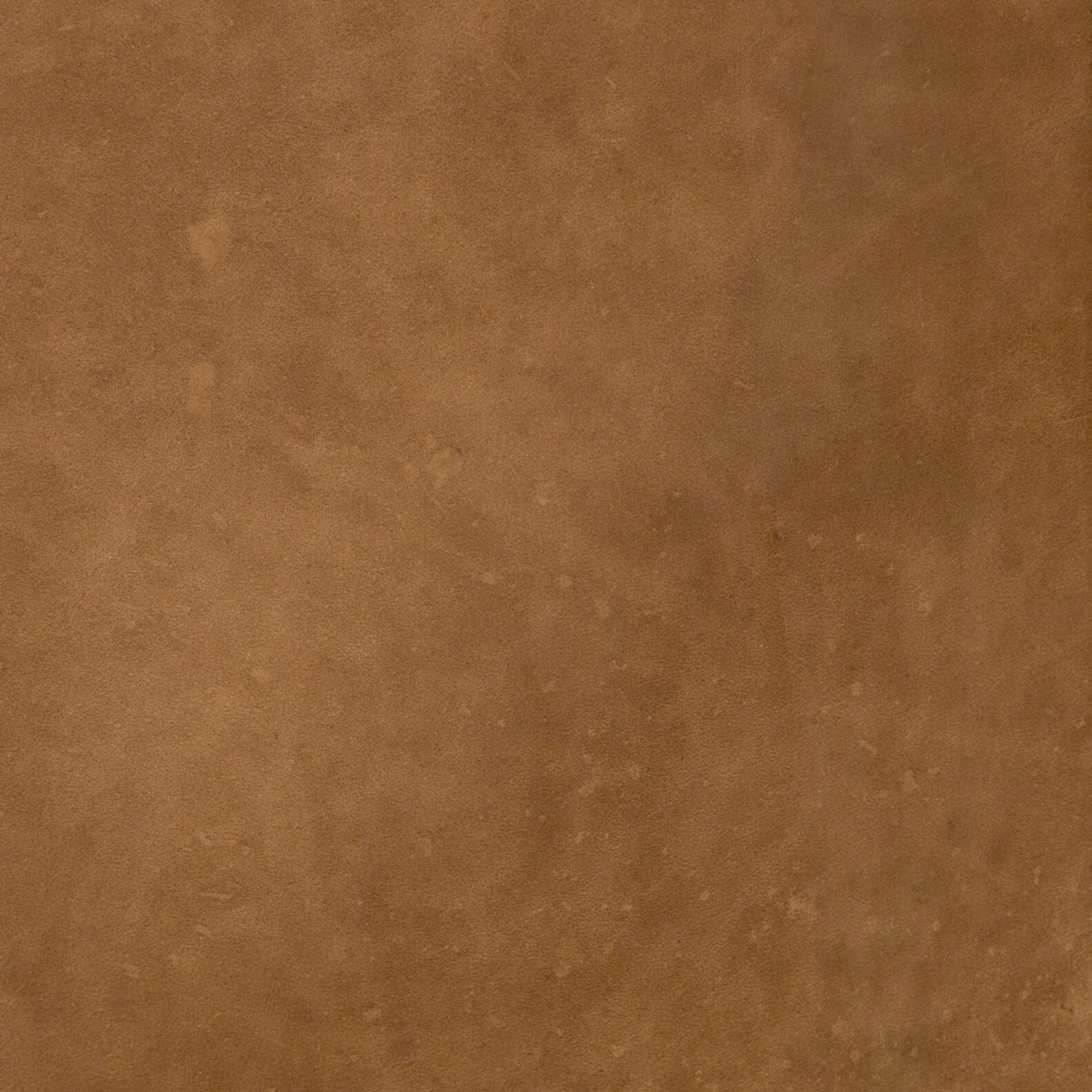 Beckwith Sofa - Natural Washed Camel