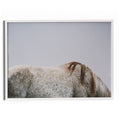 Graze - White Maple Floater