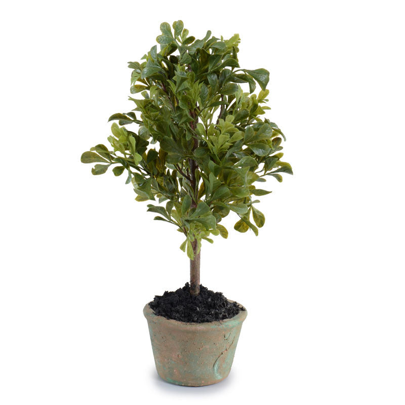 Boxwood Mini-Bush 14"H