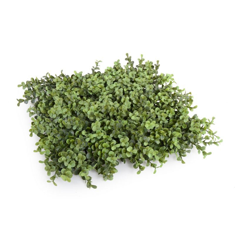 Boxwood Panel 12"