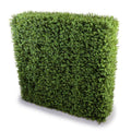 Boxwood Hedge 44.5"W x 42"H