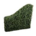 Boxwood Transition Hedge 42"W