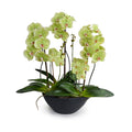 Phalaenopsis Orchid x5 Orchid in Porcelain 28"H