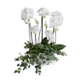 Phalaenopsis Orchid x5 w/Vines 32"H