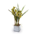 Cymbidium Orchid in Mirror Vase 27"H