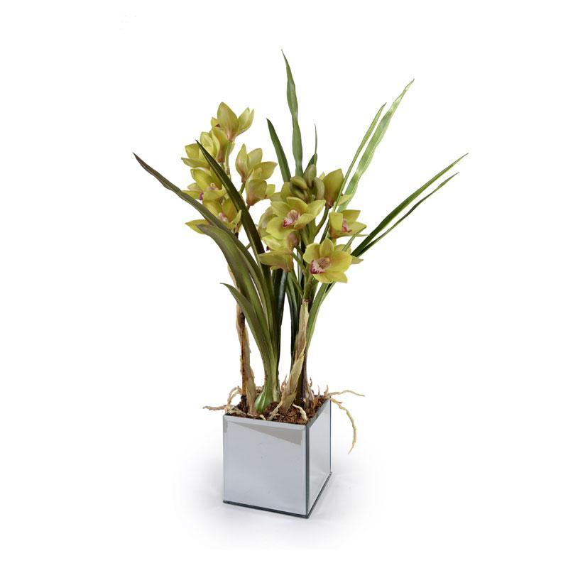Cymbidium Orchid in Mirror Vase 27"H