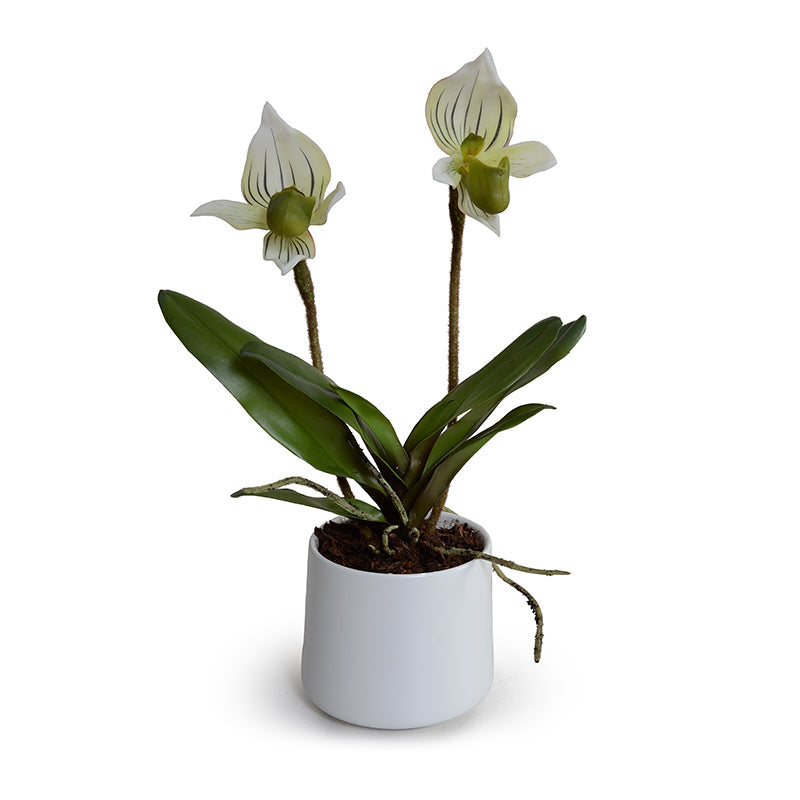 Lady's Slipper Orchid Green-white / White Porcelain