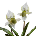 Lady's Slipper Orchid Green-white / Metallic Black Porcelain