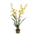 Oncidium Orchid 35"H