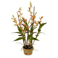 Dendrobium Orchid in Terracotta 36"H