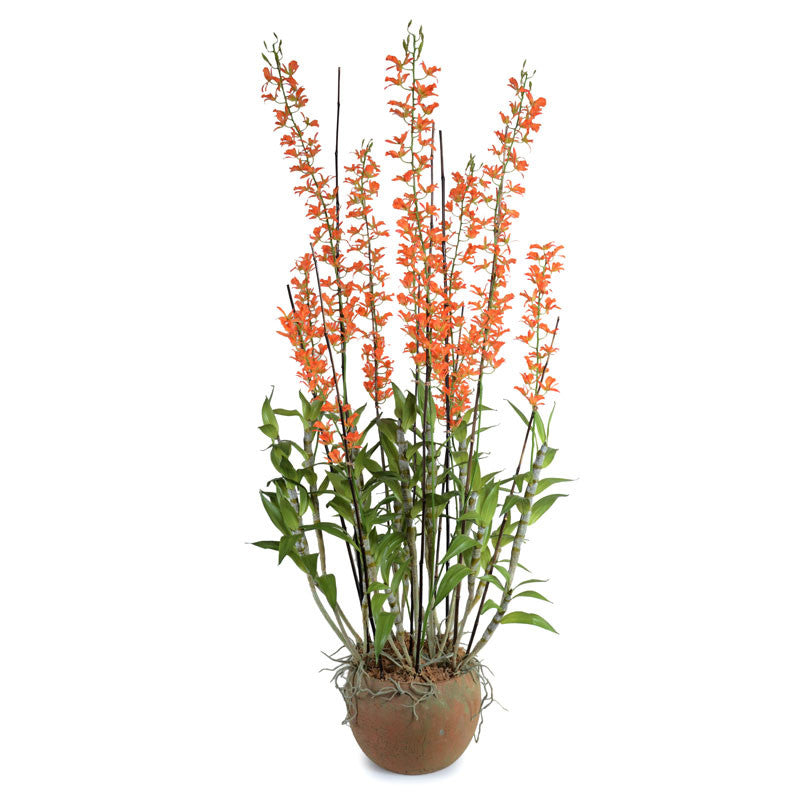 Spider Orchid in Terracotta 74"H