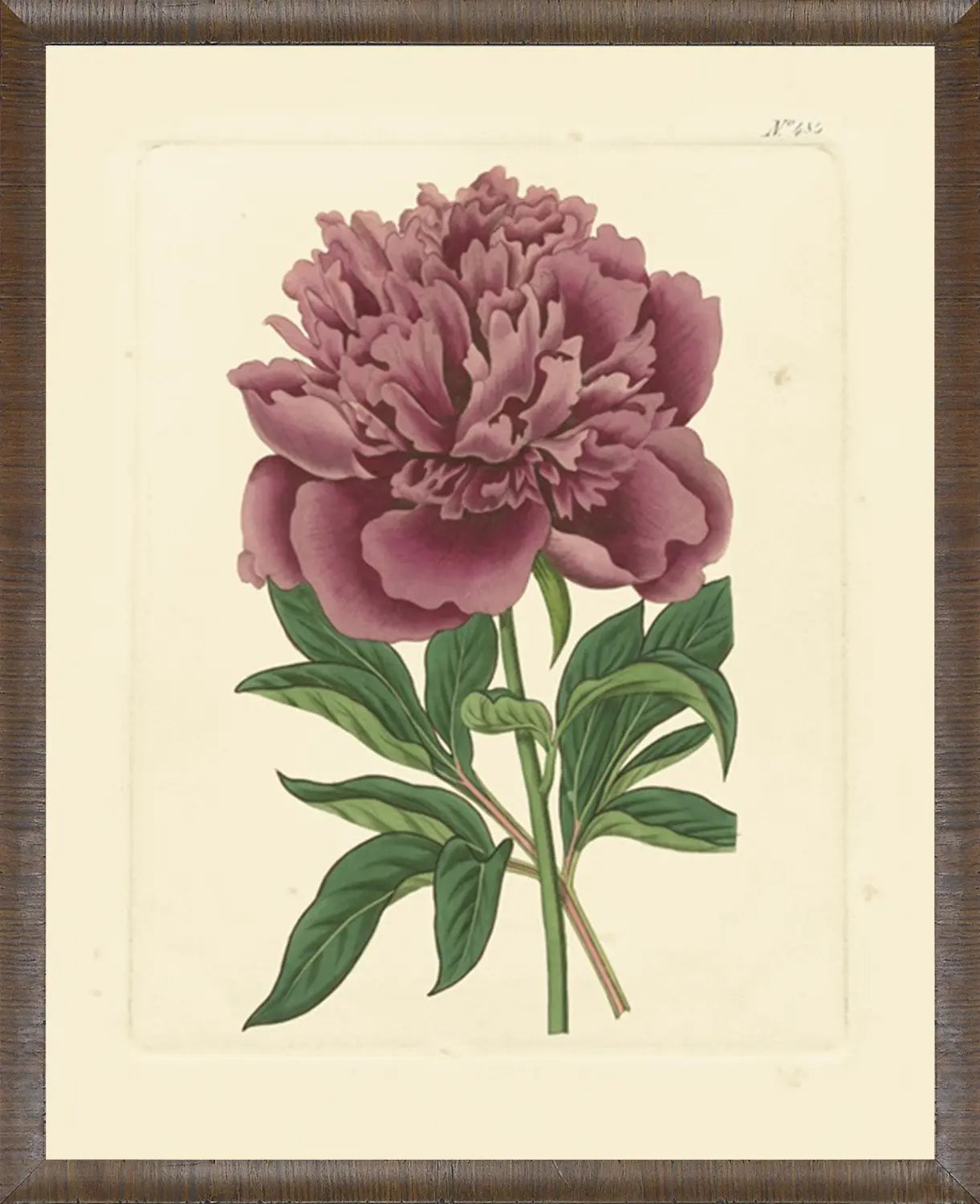 Eva's Garden I