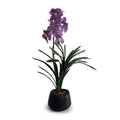 Vanda Orchid in Black Porcelain 28"H
