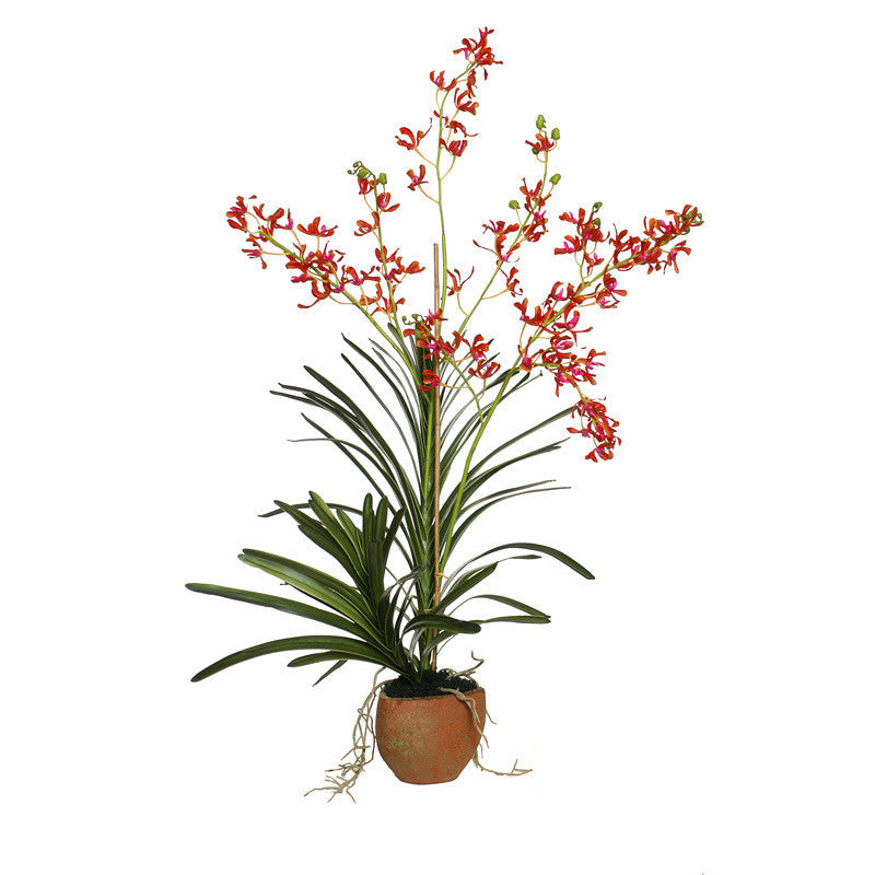 Vanda Orchid in Terracotta 47"H