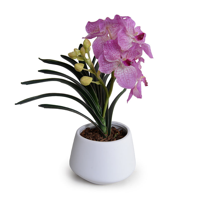 Vanda Orchid in White Porcelain 16"H