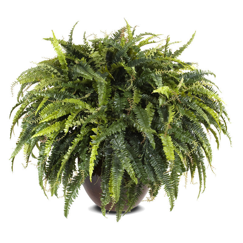 Forest Fern XL 30"H