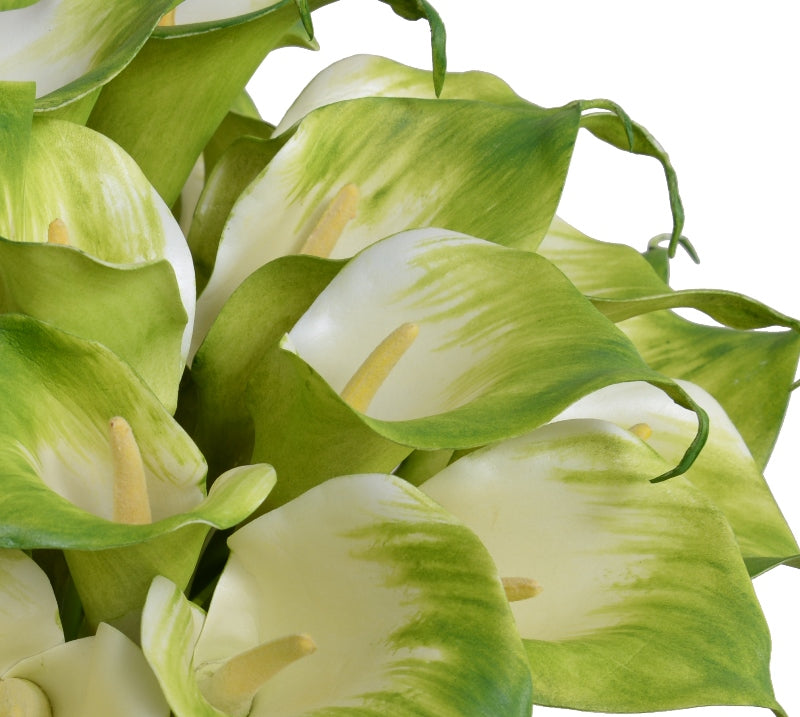 Calla Lily Stems in Glass 12"H Green