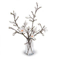 Tulip Magnolia Branches in Glass 34"