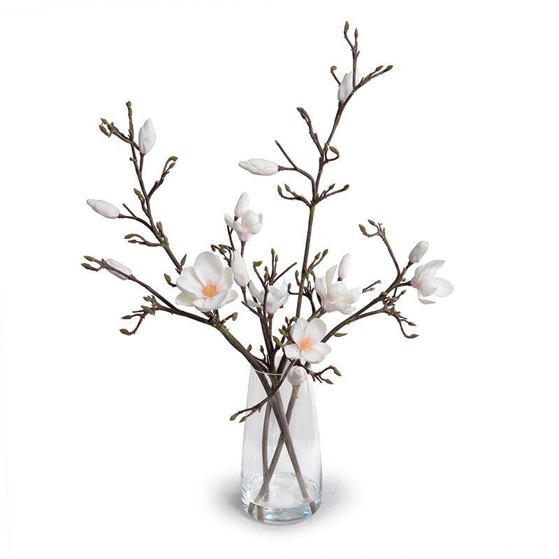 Tulip Magnolia Branches in Glass 34"