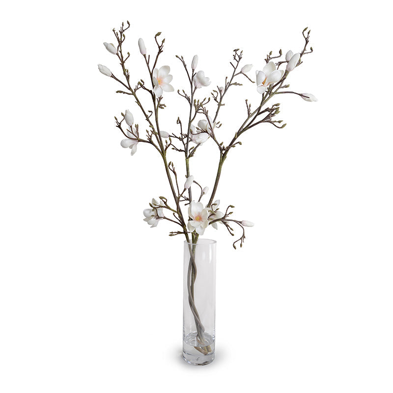 Tulip Magnolia Branches in Glass 55"